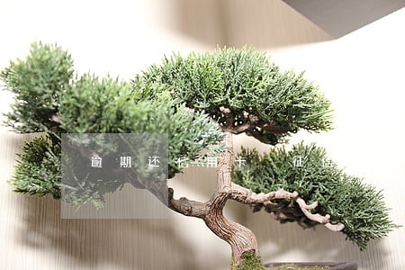 逾期还信用卡 征信 逾期还信用卡 征信
